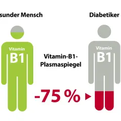 Gesunder Mensch vs. Diabetiker: Vitamin-B1-Plasmaspiegel. Bei Diabetikern zeigt sich ein Vitamin-B1-Mangel mit Symptomen, die durch einen um 75% niedrigeren Spiegel verdeutlicht werden.