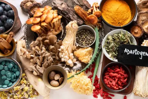 Vielfalt an adaptogenen Pflanzen: Blaubeeren, Pilze, Zimt, Kurkuma, Goji-Beeren und mehr.