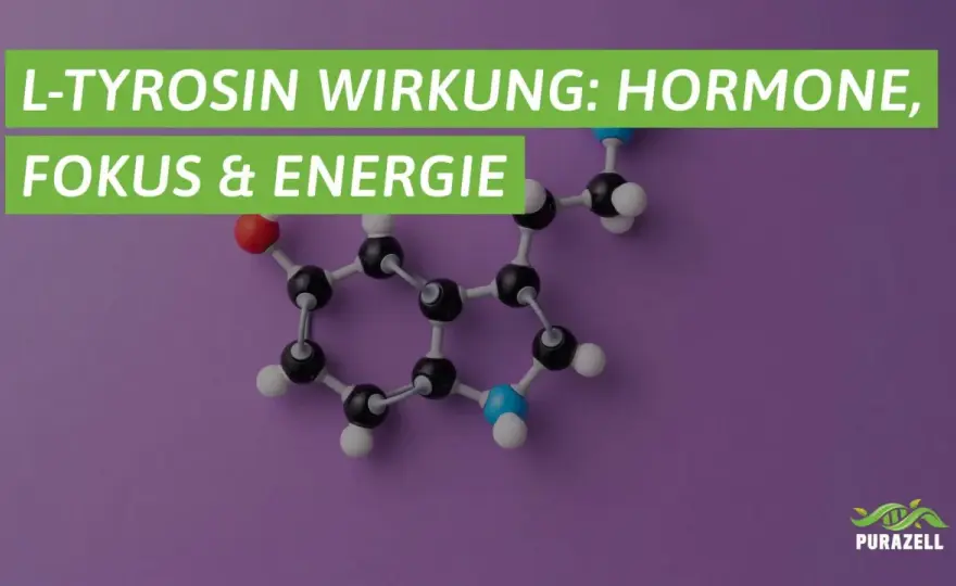 Tyrosin - Aminosäure für Fokus & Hormone: Was du wissen musst
