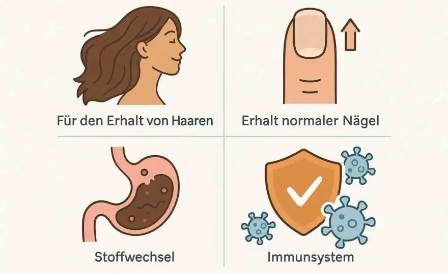 Biotinmangel - Symptome, Ursachen & was wirklich hilft