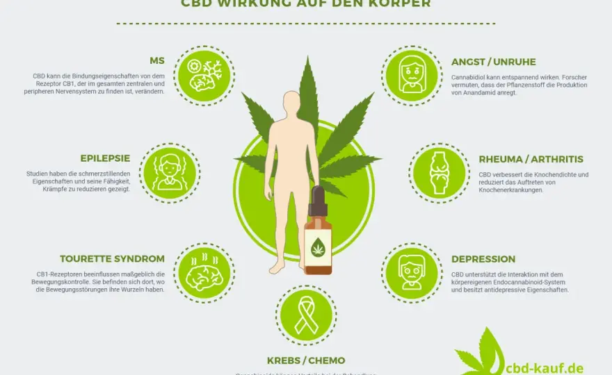 CBD verstehen - Wirkung, Risiken & seriöse Produkte erkennen
