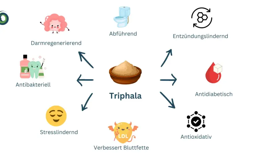 Bio-Triphala: Wirkung, Anwendung & Risiken – Was steckt dahinter?
