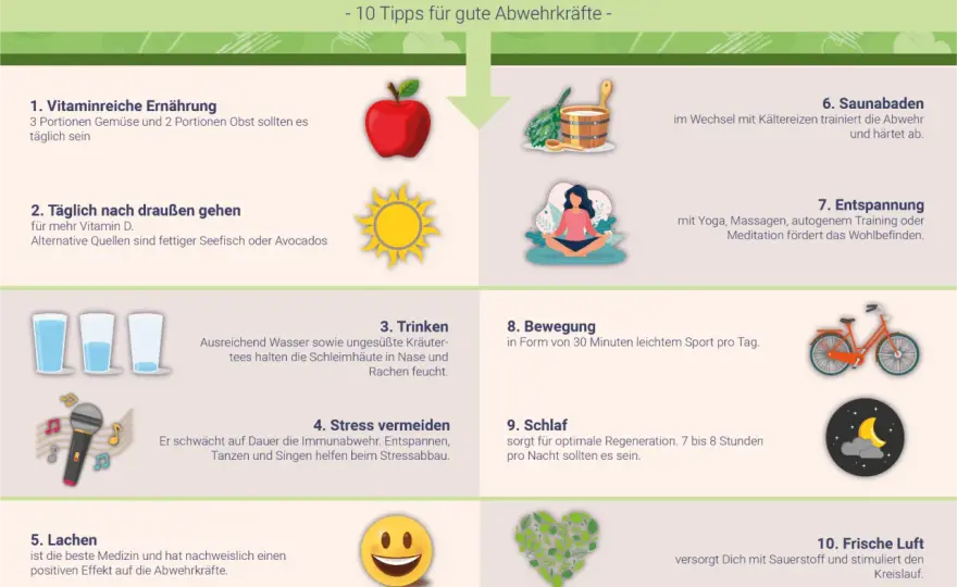 Vitamin B12 & Immunsystem - Dein Guide für stabile Abwehr