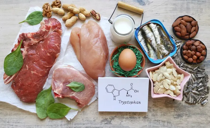 Tryptophan - Nebenwirkungen, Risiken & sichere Einnahme