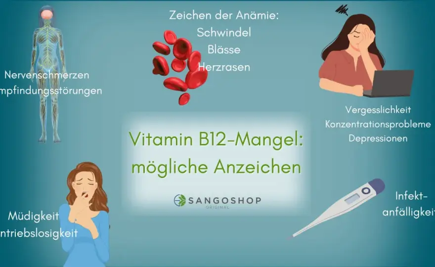 Schwitzen & Vitamin-B12-Mangel - Wann der Verdacht zählt