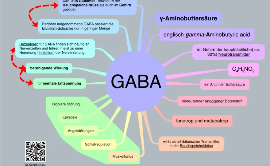 GABA: Hormon oder Neurotransmitter? Wirkung & Mythen