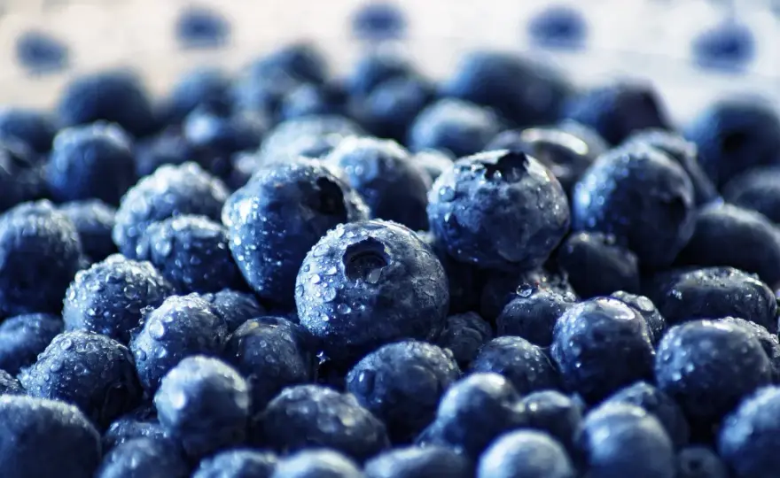 Quercetin Einnahme - So maximierst du die Wirkung!