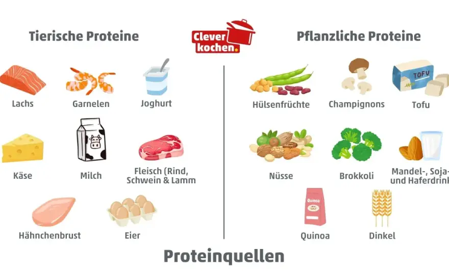 Beste Proteinquellen - Was wirklich zählt im Alltag?