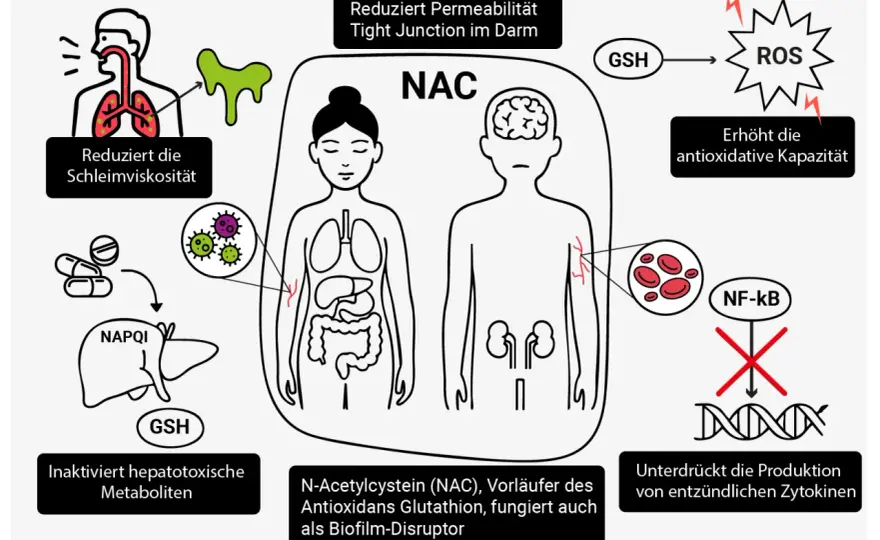 NAC Nebenwirkungen - Was Sie wissen müssen (und tun können)