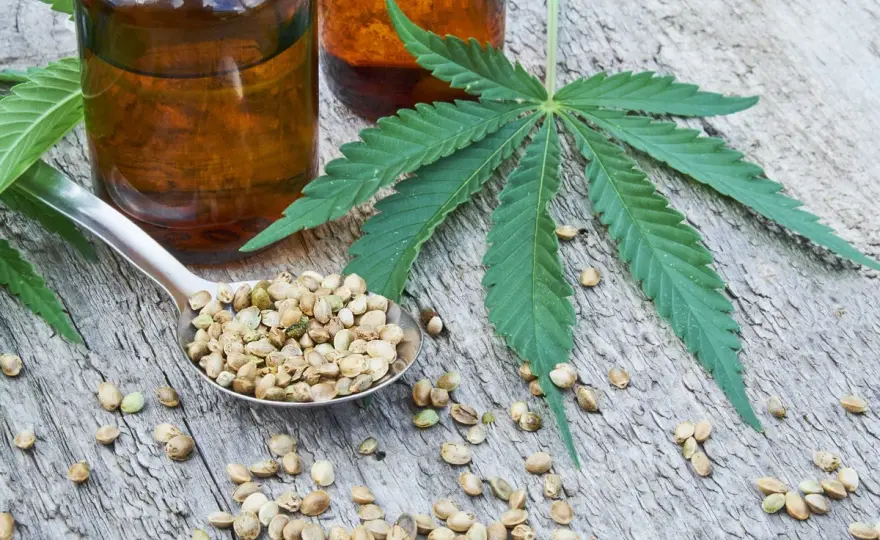 CBD-haltiges Hanföl - Was ist es wirklich & was bringt es?