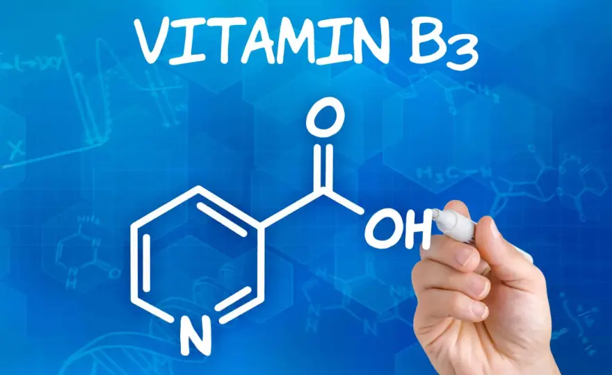 Niacinamid - Alles über Vitamin B3 für Haut & Körper