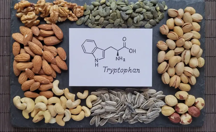 Tryptophanreiche Lebensmittel - Was wirklich zählt & wirkt