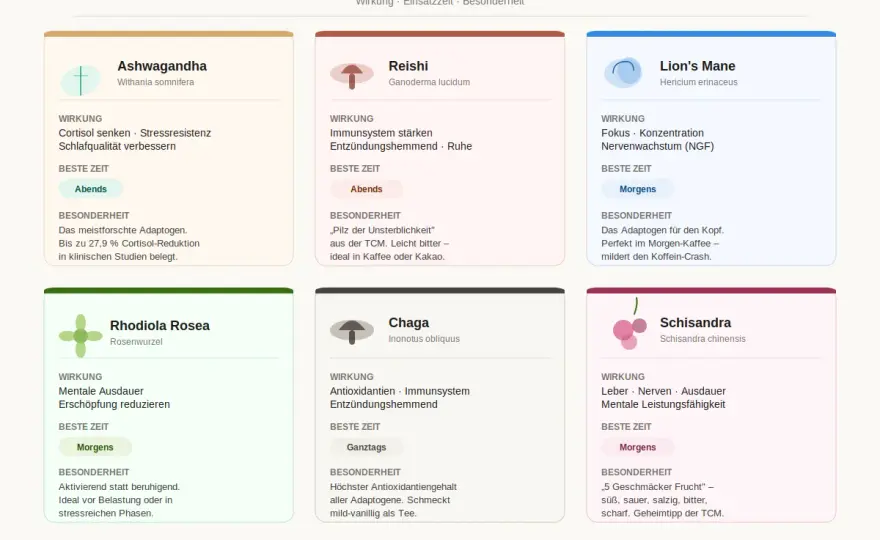 Adaptogene Liste - Welche wirklich helfen & worauf achten?
