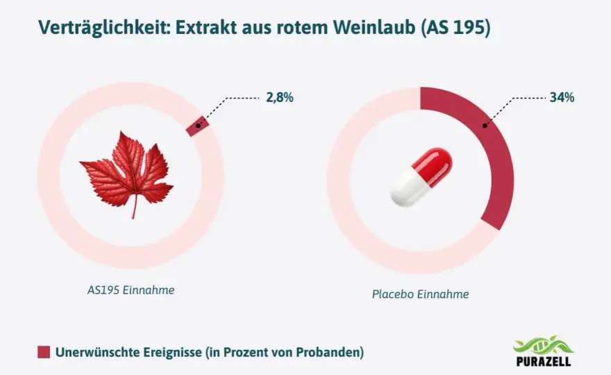 Rotes Weinlaub - Nebenwirkungen & Risiken: Was du wissen musst