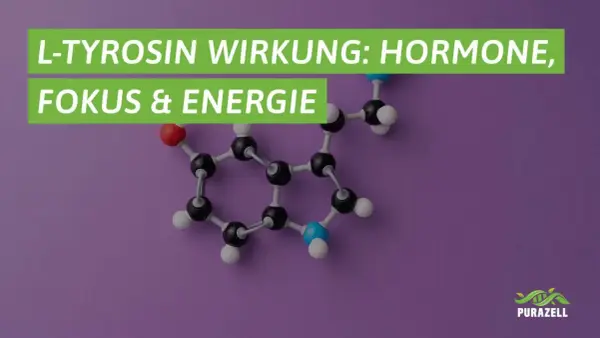 L-Tyrosin: was ist Tyrosin? Die Aminosäure ist wichtig für Hormone, Fokus & Energie. Molekülstruktur im Bild.