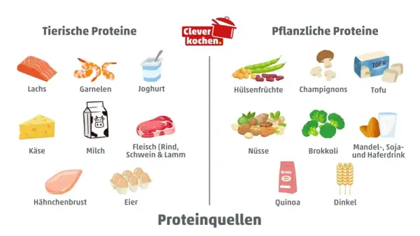 Tierische und pflanzliche Proteinquellen: Lachs, Garnelen, Joghurt, Käse, Milch, Fleisch, Hähnchenbrust, Eier, Hülsenfrüchte, Champignons, Tofu, Nüsse, Brokkoli, Mandel-, Soja- und Haferdrink, Quinoa, Dinkel.