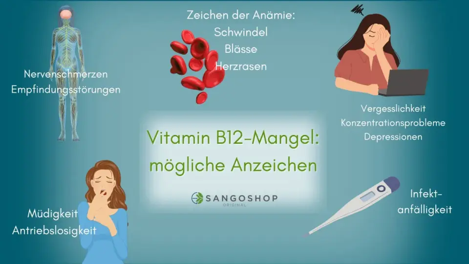 Schwitzen & Vitamin-B12-Mangel - Wann der Verdacht zählt